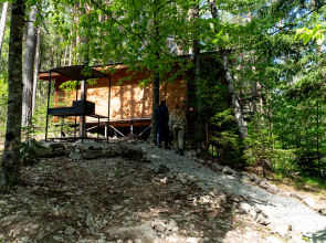 Отель Нарния