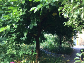 Гостевой дом Дом в саду