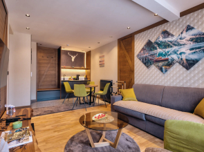 Modern Mountain CENTRAL 05 + garage Apartments