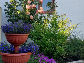 Гостевой дом Крымская дача в Орловке