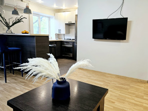 Квартира Неотель на Площади Ленина, рядом Театр Оперы и Балета