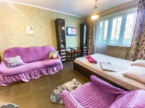 Uyutnaya kvartira vozle Sheremet'evo Flat