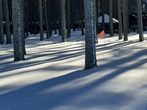 Дом на берегу Псковского озера
