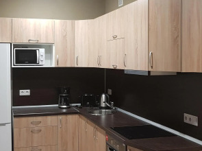 Апартаменты on Chapaeva ECOSTYLE XL