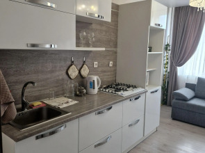 Квартира Левичева, д. 19