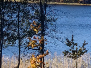 Изба Пасечника Пятиместная Хутор Медовый