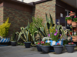 Гостевой Дом Джемма