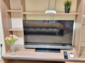 Квартира Краснозвездная 31/319