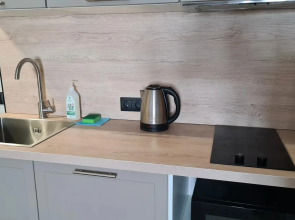 Апартаменты №3 в центре Ярославля - с шикарным вид из окон.