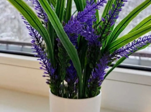 Квартира на Александра Невского 22/2