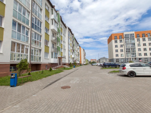 Квартира Комфортабельная с Красивым Видом
