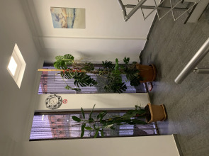 Отель My House Gonio