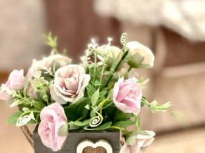 Апартаменты MARS Hotel  Павловский тракт 227