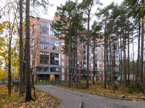 Квартира Студия с Качелью в Зеленогорске