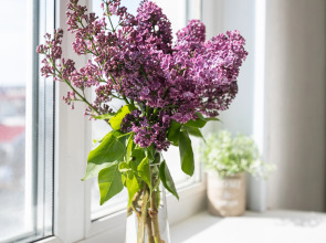 Апартаменты Сибирская 45