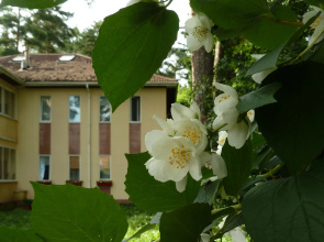 Na Koroleva Guest house