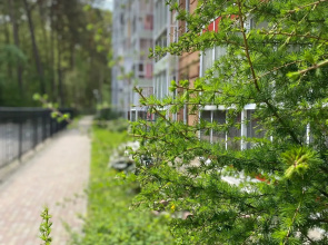 Квартира Sunny Forest