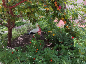 Гостевой Дом Отдых у Александра