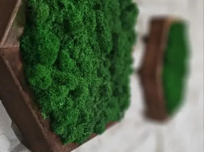 Гостевой дом Уютный спа в центре