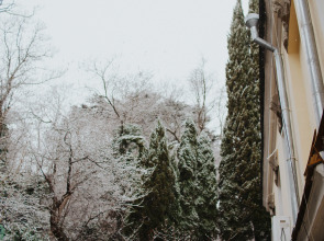 Меблированные Комнаты Villa 7