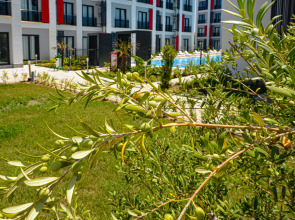 Отель C Suites Antalia Airport