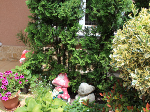 Гостевой дом Dolce Gusto