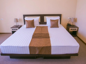 Отель Ani Central Inn