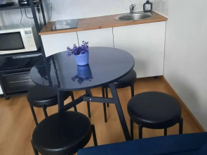 Uyutnaya studiya ryadom s Nii Petrova Flat