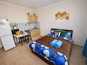 Studiya Ryadom S Aeroportom Flat
