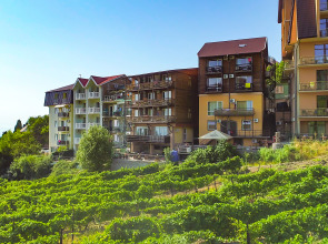 Отель Виола