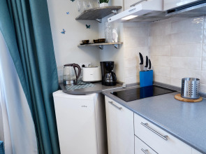 Апартаменты DD.APARTS.VBG : WOW-Студия у Библиотеки ААЛТО