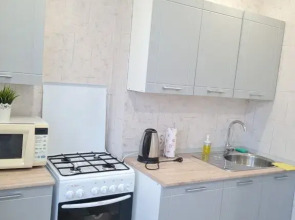 Апартаменты Уютные рядом с центром 2