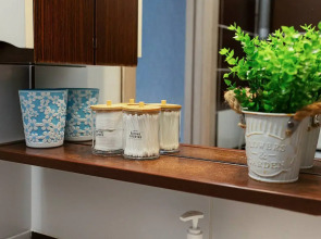 Квартира 1-Комн. на Партизана Железняка 61