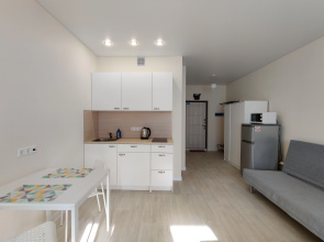 Апатаменты Юбилейный Проспект 67 Rentlis