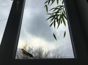 Апартаменты NewStory