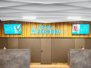 Отель Лесники