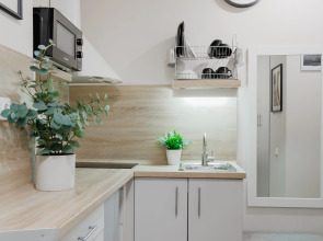 Апартаменты Монохромная Красноармейская