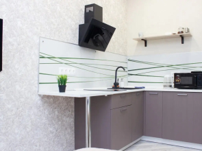 Апартаменты для 1, 2 гостей с видом на город