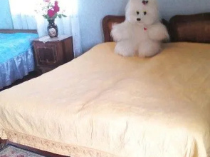 V Kingi Guest House