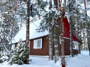 Chayka-Seliger Guest House