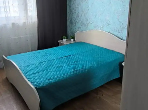 Areal Trekhkomnatnaya V Tsentre Flat