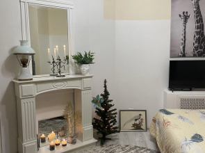 Апартаменты Квартира в центре с отдельным входом