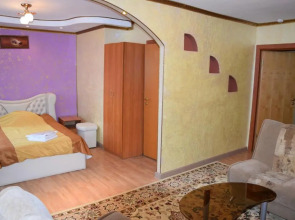 Отель Аэропорт Plaza