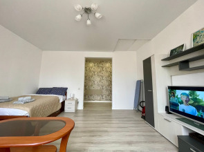 Апартаменты Лес и Шишки