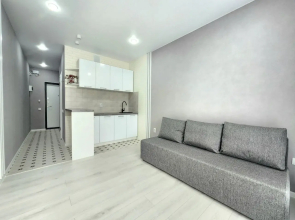 Svetlaya studiya v novom dome Flat