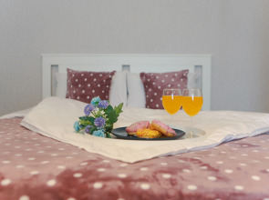 Апартаменты O.G.N.I. Тигровая, д.26