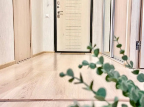 Апартаменты На Революции 52В