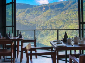 Oak Ray Tea Bush Ramboda Hotel