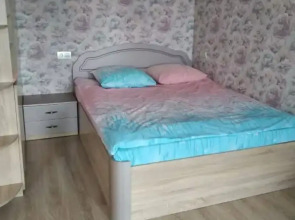 Апартаменты Большая Двухкомнатная у Гематологии Метро Аэропорт