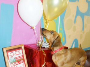 Хостел Арена